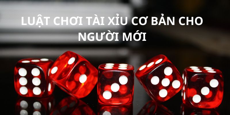 Luật chơi cơ bản của game mà bạn cần biết