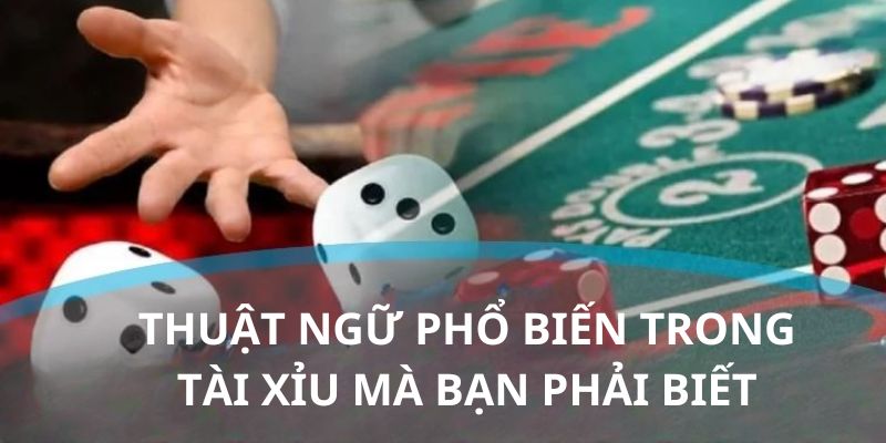 Các thuật ngữ thường gặp trong Tài Xỉu cần nắm